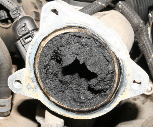 EGR Removal MJC Custom Remaps