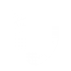 porsche MJC Custom Remaps